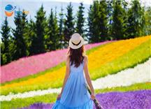 [HCM] Tour Nhật Bản Khám Phá Hokkaido Mùa Hè 2026